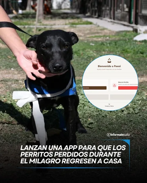 Publicación de InformateSalta sobre Pawsi
